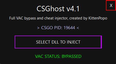 csgo ghost injector.